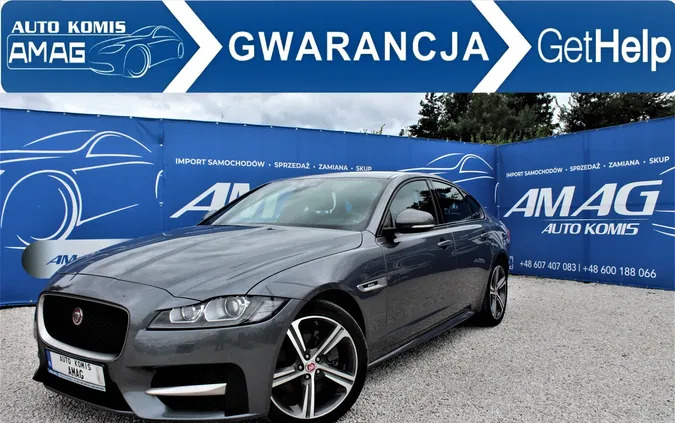 jaguar wielkopolskie Jaguar XF cena 117800 przebieg: 22000, rok produkcji 2018 z Nowy Targ